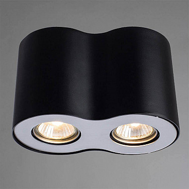 Потолочный светильник Arte Lamp Falcon A5633PL-2BK