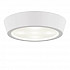 Потолочный светильник Lightstar Urbano Mini LED 214702