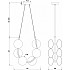 Подвесная люстра Perlina FR4005PL-06B2