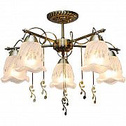 Потолочная люстра Toplight Delia TL1195X-05AB