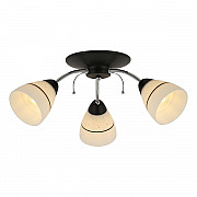 Потолочная люстра Toplight Winnifred TL1255D-03BC