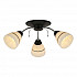 Потолочная люстра Toplight Winnifred TL1255D-03BC