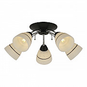 Потолочная люстра Toplight Winnifred TL1255D-05BC