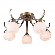 Потолочная люстра Toplight Olivia TL3750X-05AB