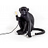 Интерьерная настольная лампа Monkey Lamp 14922