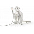 Интерьерная настольная лампа Monkey Lamp 14928