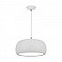 Подвесной светодиодный светильник Zumaline Oval P14071-D35