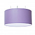 Подвесной светильник TopDecor Crocus Glade S1 01 328g