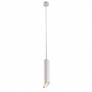 Подвесной светильник Arte Lamp Pilon-Silver A1536SP-1WH