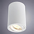 Потолочный светильник Arte Lamp A1560PL-1WH