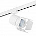 Трековый светодиодный светильник Lightstar Canno Led (303564+202996) C356496