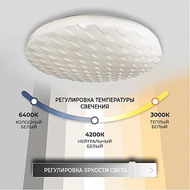 Потолочный светильник Риеско 45445.45.90.77